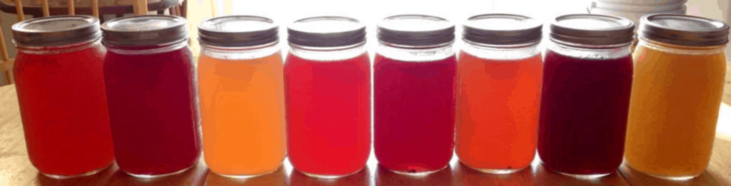 Flavoured Water Kefir