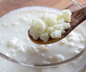 Milk Kefir with grains