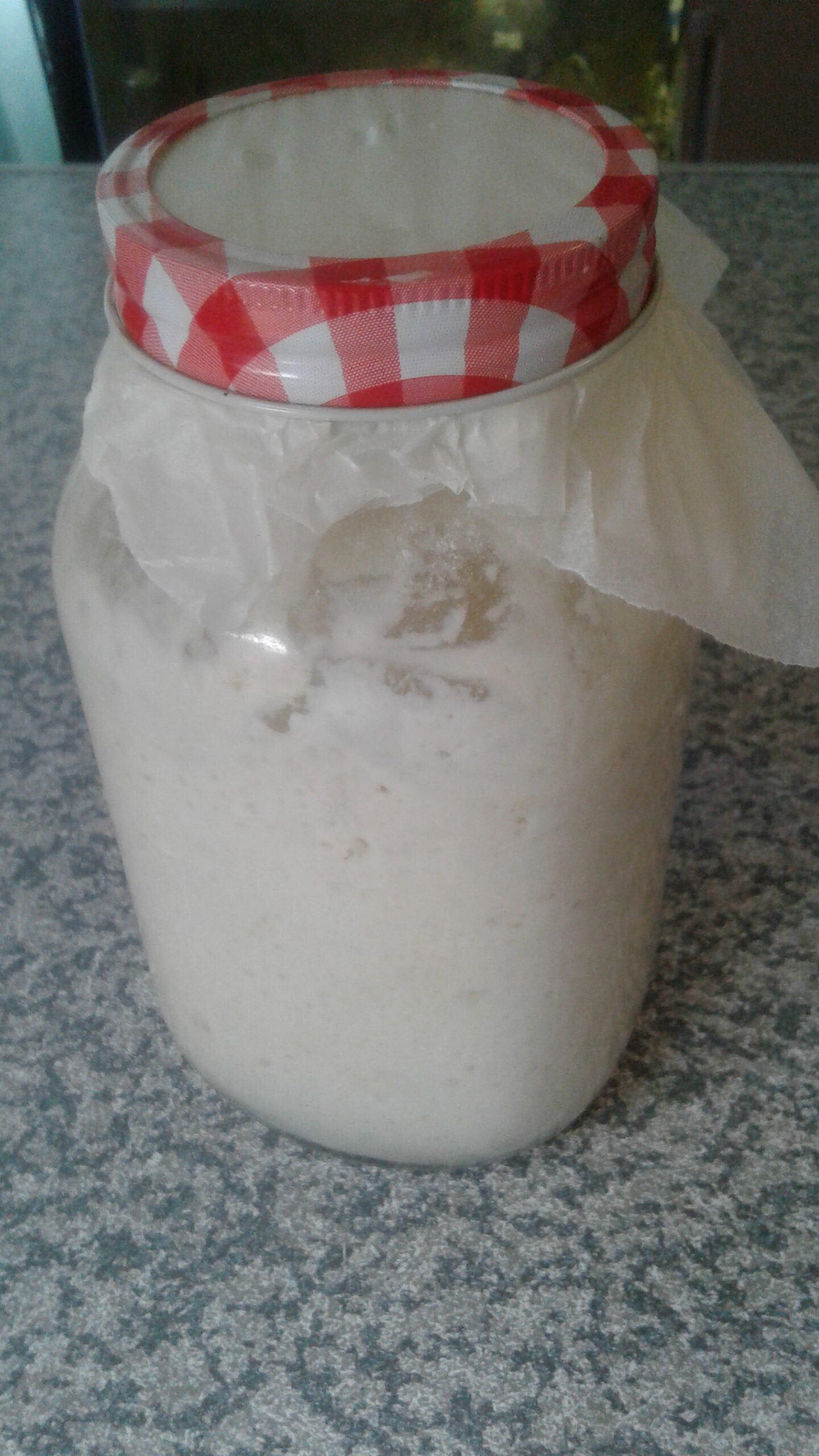 Kefir Starter Sour Dough